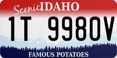 ID license plate 1T9980V