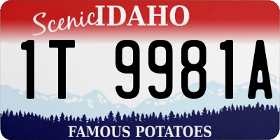 ID license plate 1T9981A