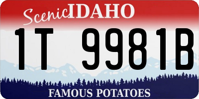 ID license plate 1T9981B
