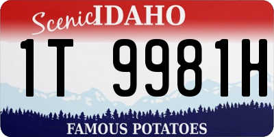 ID license plate 1T9981H
