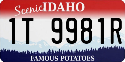 ID license plate 1T9981R