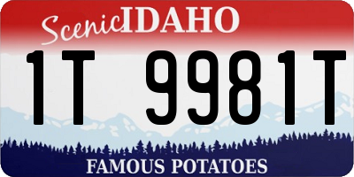 ID license plate 1T9981T