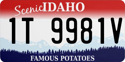 ID license plate 1T9981V