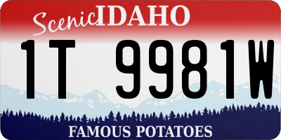 ID license plate 1T9981W