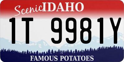 ID license plate 1T9981Y