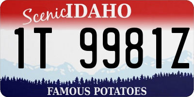 ID license plate 1T9981Z