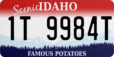 ID license plate 1T9984T