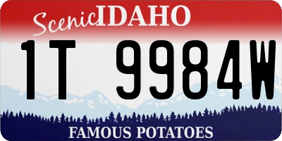 ID license plate 1T9984W