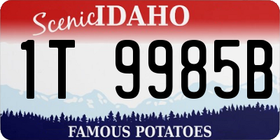 ID license plate 1T9985B