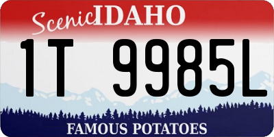 ID license plate 1T9985L