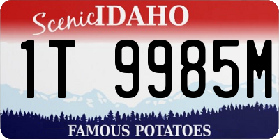 ID license plate 1T9985M