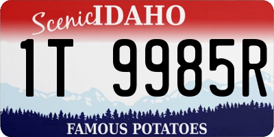 ID license plate 1T9985R
