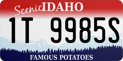 ID license plate 1T9985S