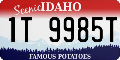 ID license plate 1T9985T