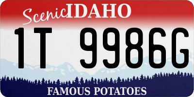 ID license plate 1T9986G