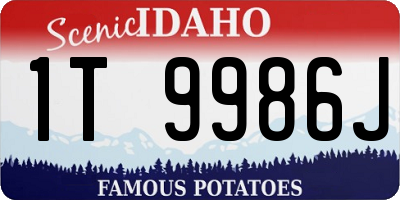 ID license plate 1T9986J
