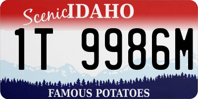ID license plate 1T9986M