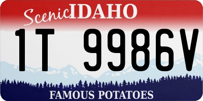 ID license plate 1T9986V