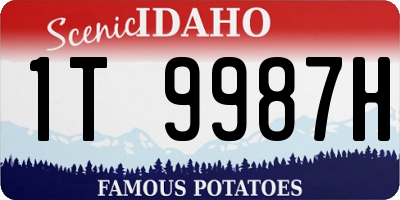 ID license plate 1T9987H