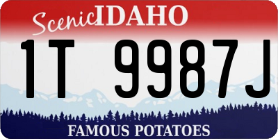 ID license plate 1T9987J