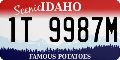 ID license plate 1T9987M
