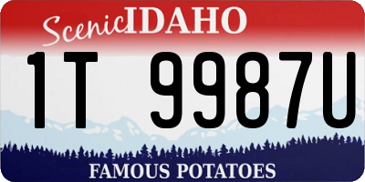 ID license plate 1T9987U
