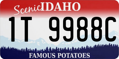 ID license plate 1T9988C