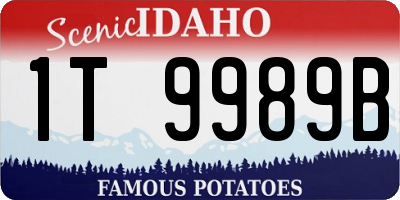 ID license plate 1T9989B