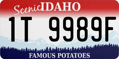 ID license plate 1T9989F