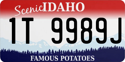 ID license plate 1T9989J