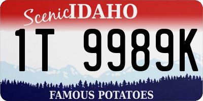 ID license plate 1T9989K