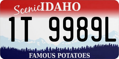 ID license plate 1T9989L