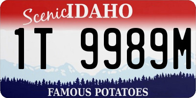 ID license plate 1T9989M