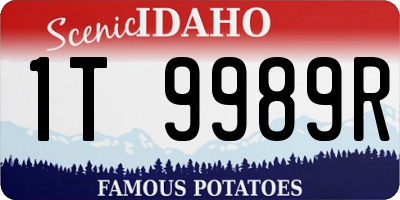 ID license plate 1T9989R