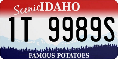 ID license plate 1T9989S