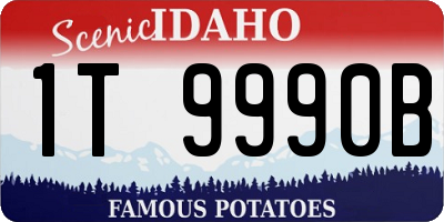 ID license plate 1T9990B