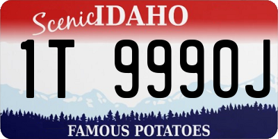 ID license plate 1T9990J