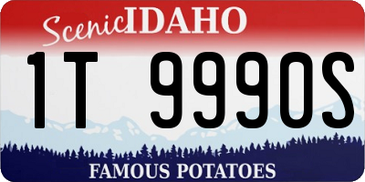 ID license plate 1T9990S