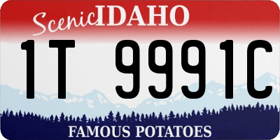 ID license plate 1T9991C
