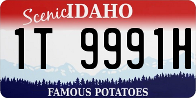 ID license plate 1T9991H