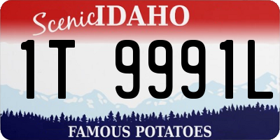 ID license plate 1T9991L