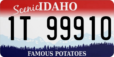 ID license plate 1T9991O