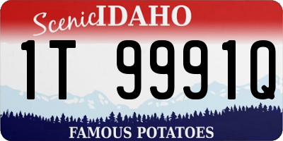 ID license plate 1T9991Q