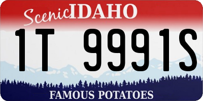 ID license plate 1T9991S