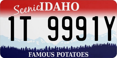 ID license plate 1T9991Y