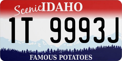 ID license plate 1T9993J