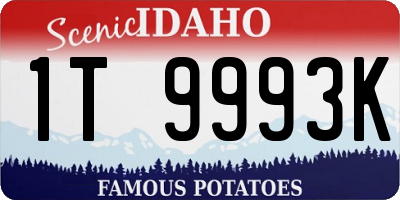 ID license plate 1T9993K