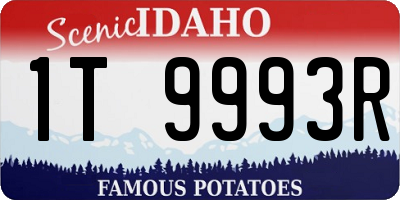 ID license plate 1T9993R