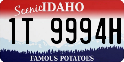 ID license plate 1T9994H