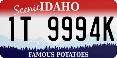 ID license plate 1T9994K